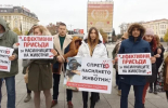 За пет години 318 на съд за насилие над животни