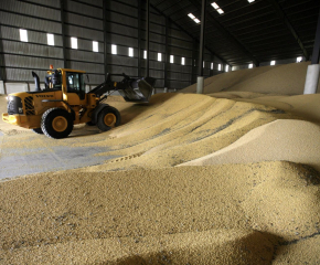 Забранихме вноса на зърно, но ни залива олио от Украйна