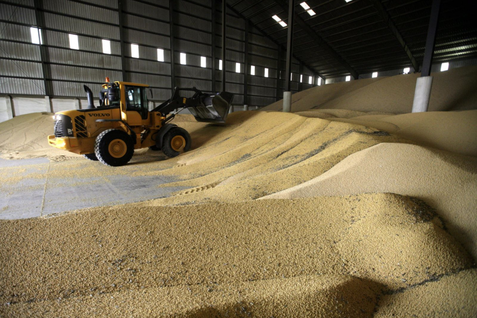 Около 1 милион тона слънчоглед и около 2 милиона тона пшеница залежават по складовете. Това стана ясно от коментара пред БНТ на Илия Проданов от Асоциацията...