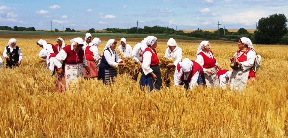 На 15 юни 2020 г., в село Търнава, бе дадено начало на жътвената кампания в община „Тунджа“. Организатори на хубавия празник, обединяващ хора, земя и традиции,...