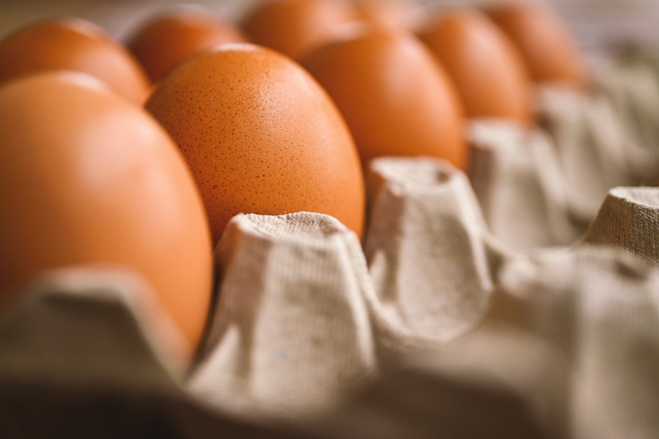 Българската агенция по безопасност на храните (БАБХ) извършва засилени проверки в обектите за производство и търговия с храни, пакетиращи центрове за яйца,...