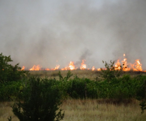 Затварят АМ „Марица“ в Хасковско заради пожарите