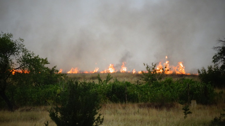 Остава в сила бедственото положение в Хасковско заради дата пожара на териториите на общините Харманли и Любимец. 
Те все още не са локализирани заради...