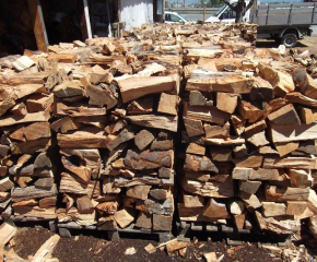 Земеделският министър с призив: Не се презапасявайте с дърва за огрев
