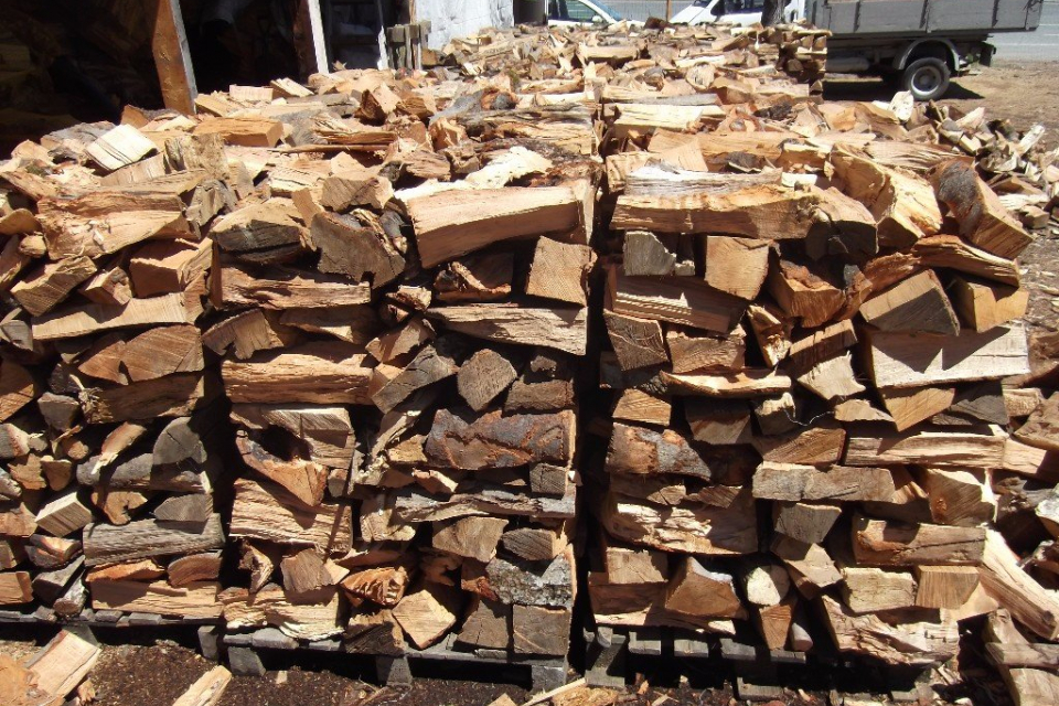 През последните три месеца се наблюдава рекорден добив на дърва за огрев. Това обяви на брифинг служебният министър на земеделието Явор Гечев. По думите...