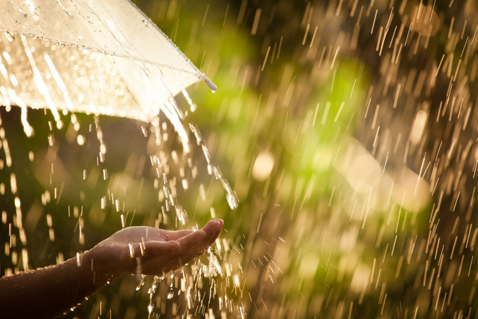 Жълт код за интензивни валежи от дъжд и гръмотевици е обявен за днес. Само четири области в Североизточна България са изключение – Шумен, Силистрa, Добрич...