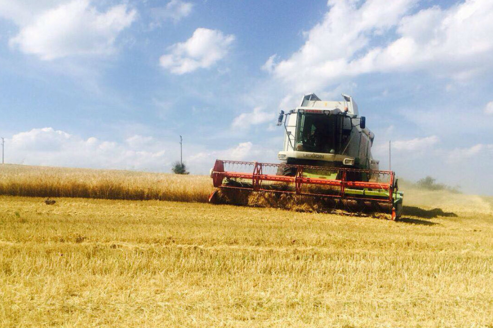 Жътвата в Ямболска област започна на отделни места при средни добиви от 307 килограма от декар за ечемика и 323 кг за пшеницата, съобщи за БТА директорът...