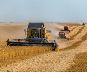 Зърнопроизводители от пет страни изпратиха обща декларация до ЕК