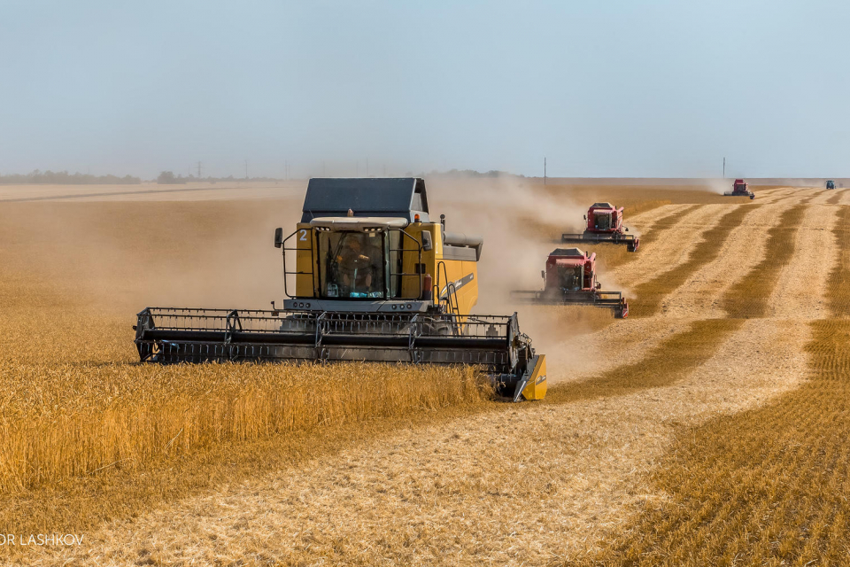 Организации на зърнопроизводители от България, Румъния, Чехия, Полша и Словакия изпратиха обща декларация до Европейската комисия. Те настояват да бъде...