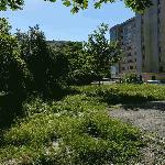 В Градската джунгла на Ямбол